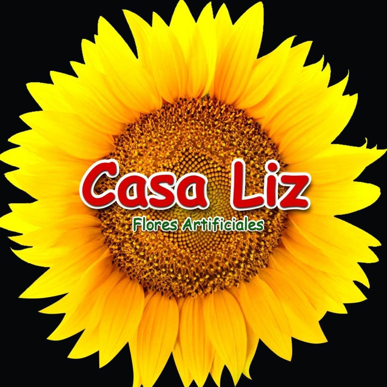 Logo Casa Liz - Flores